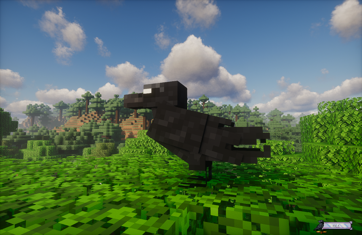 A wild Raven perched on a canopy